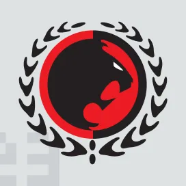 Gracie jiu jitsu
